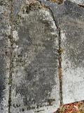 image of grave number 259543